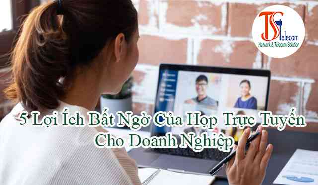 5-Loi-Ich-Bat-Ngo-Cua-Hop-Truc-Tuyen-Cho-Doanh-Nghiep.jpg